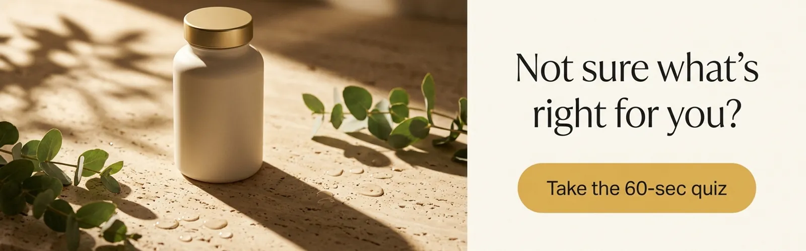 Quiz creative, Website banner